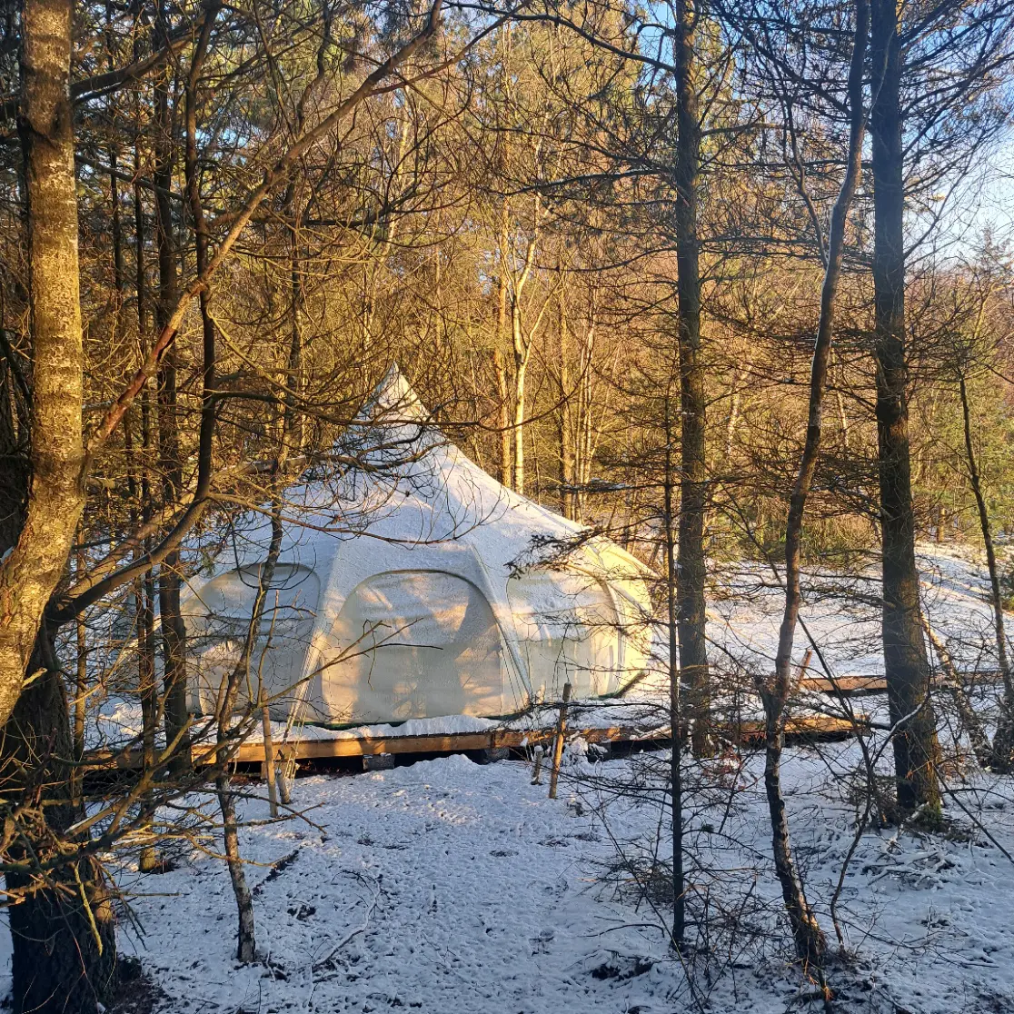 Skovbrynet på Schellerup Gård - Vinter sæson