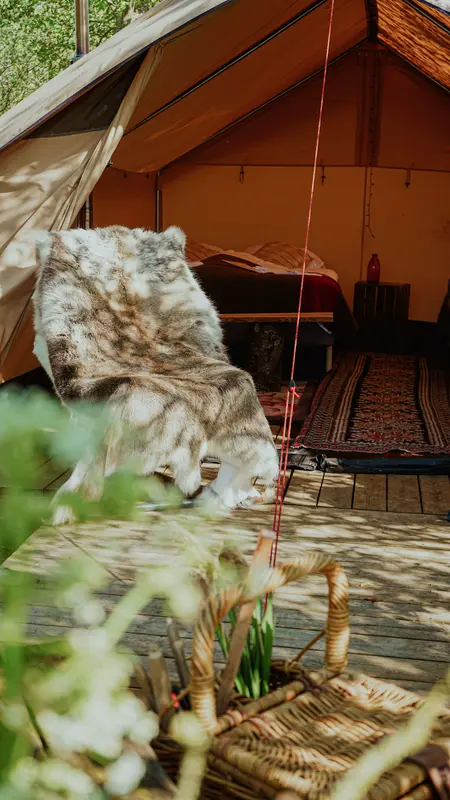 Naturlig på Korsgården - Glamping