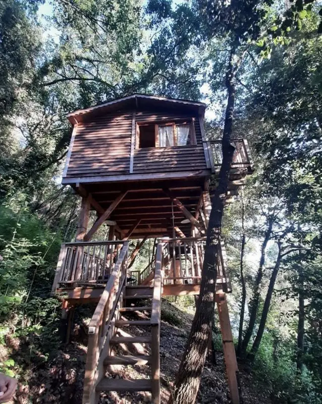 Orion Treehouses