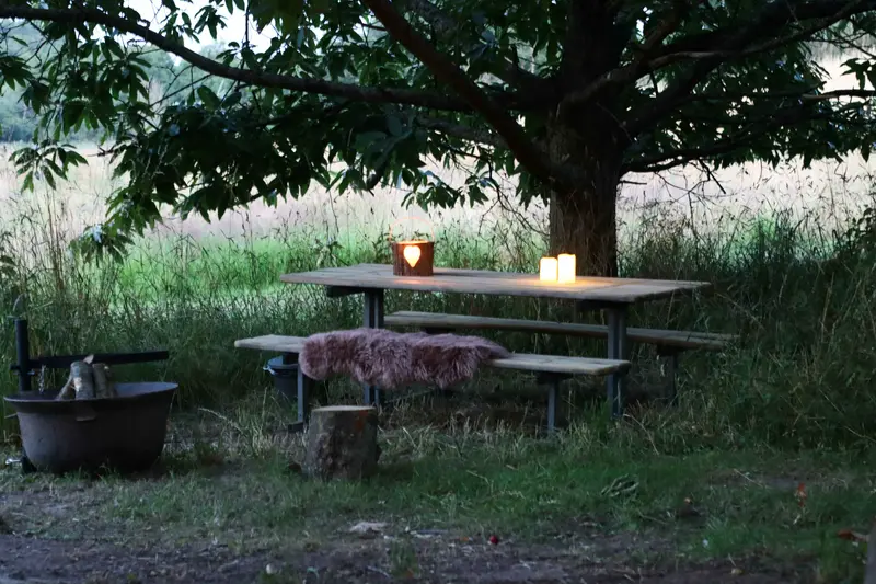 Heart of Nature ❤️✨❤️