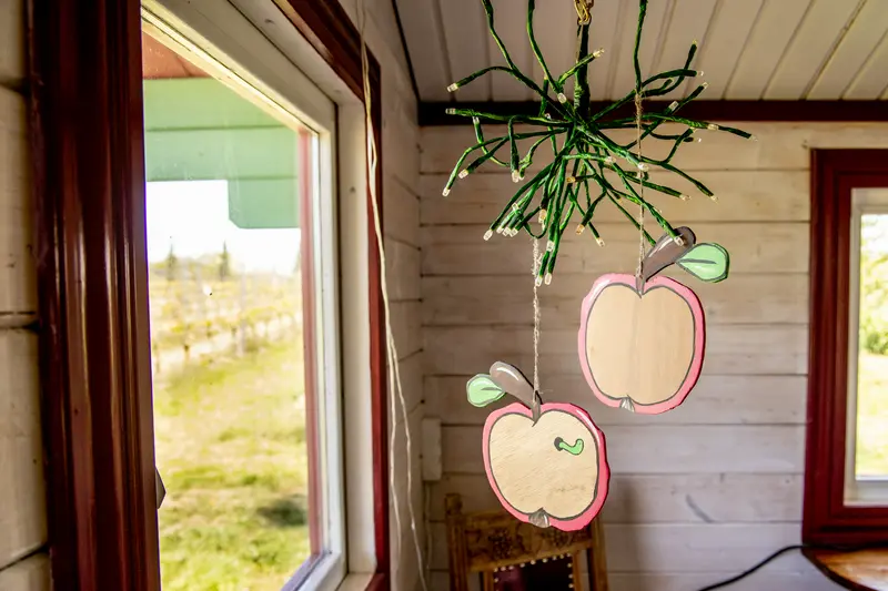 Vingårdshytte på Fejø