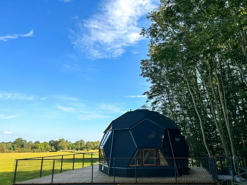 Møllegårdens Trætophytter